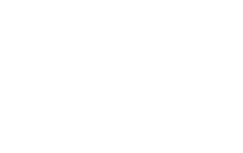 Logo Varela Asesores